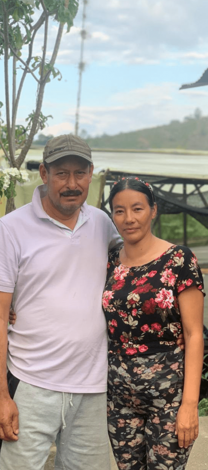 ELIECER NUÑEZ OSORIO | Colombia | Washed - kaffemikGuava | Lemonade | HibiscusKaffeebohnen