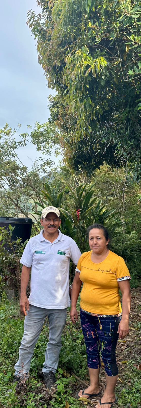 LUZ DARY OME | Colombia | Washed - kaffemikLemonade | Violet | HerbalKaffeebohnen