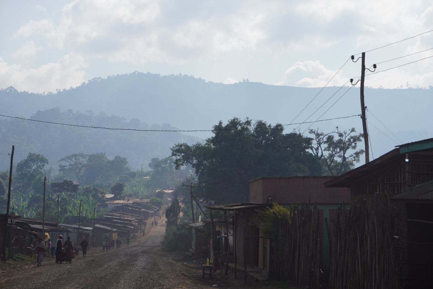 ARICHA WUBANCHI | Ethiopia | Washed - kaffemikAPRICOT | GREEN TEA | BERGAMOTCoffee