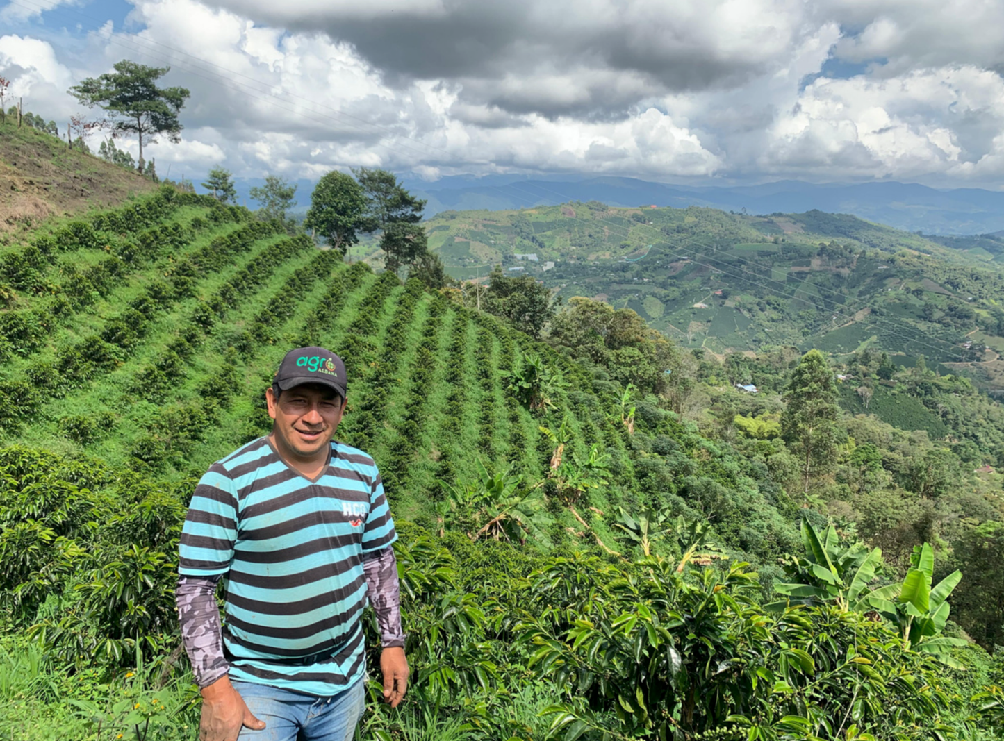 ELEICER GUATIN | Colombia | Washed - kaffemikGuava | Lemonade | HibiscusKaffeebohnen