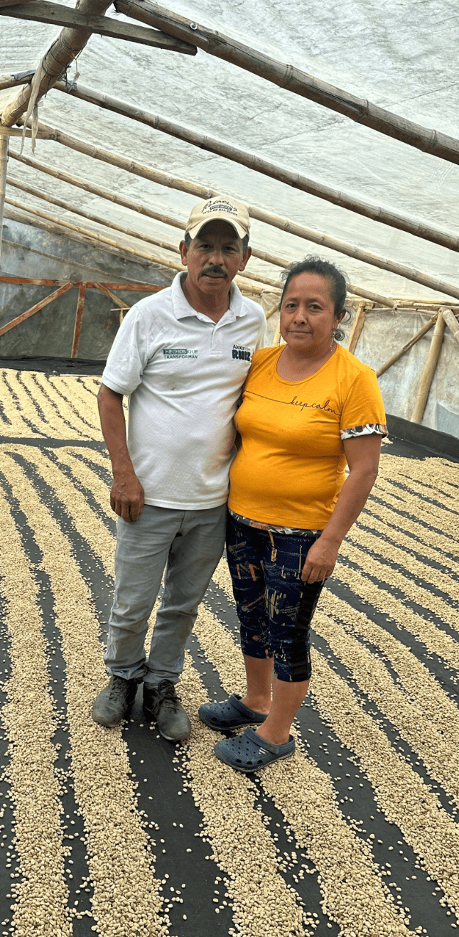 LUZ DARY OME | Colombia | Washed - kaffemikLemonade | Violet | HerbalKaffeebohnen