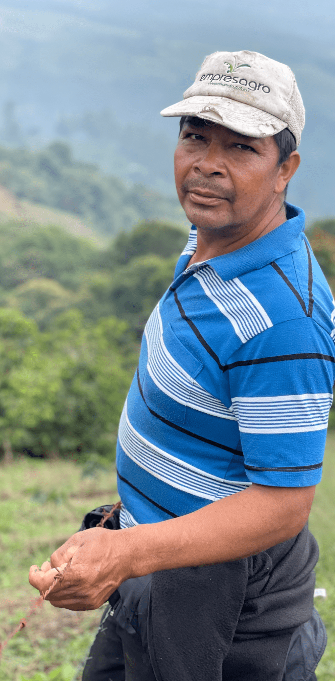 REINALDO CHILITO | Colombia | Washed - kaffemikGuava | Lemonade | HibiscusKaffeebohnen