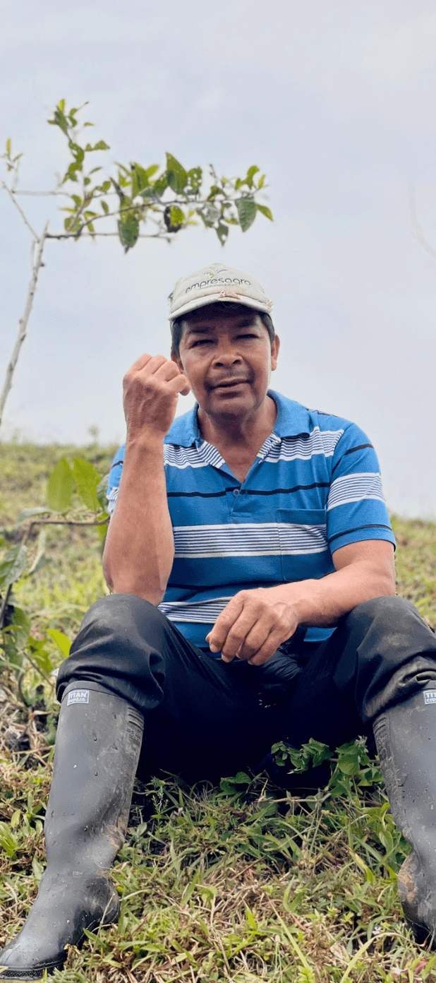 REINALDO CHILITO | Colombia | Washed - kaffemikGuava | Lemonade | HibiscusKaffeebohnen