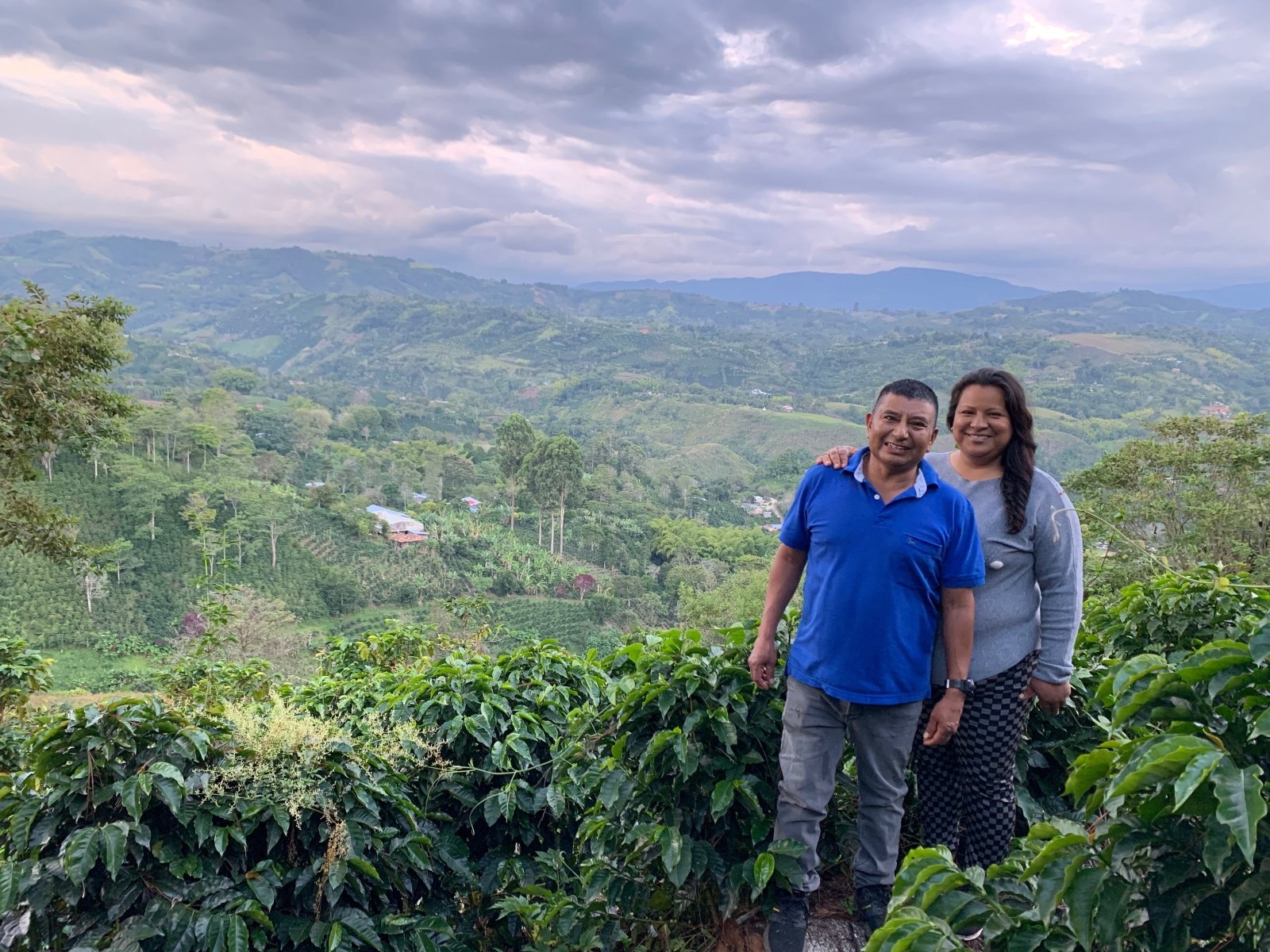 SONIA BOLAÑOS | Colombia | Washed - kaffemikLemonade | Violet | HerbalKaffeebohnen